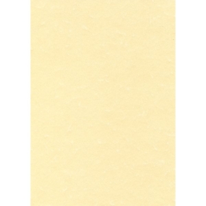 Carta pergamenata Decadry A3 - Champagne - 165 g/m² - 29,7x42 cm (conf.25)-0
